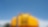 Rear view of a Shell yellow tanker