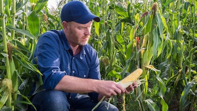 Team up with the experts