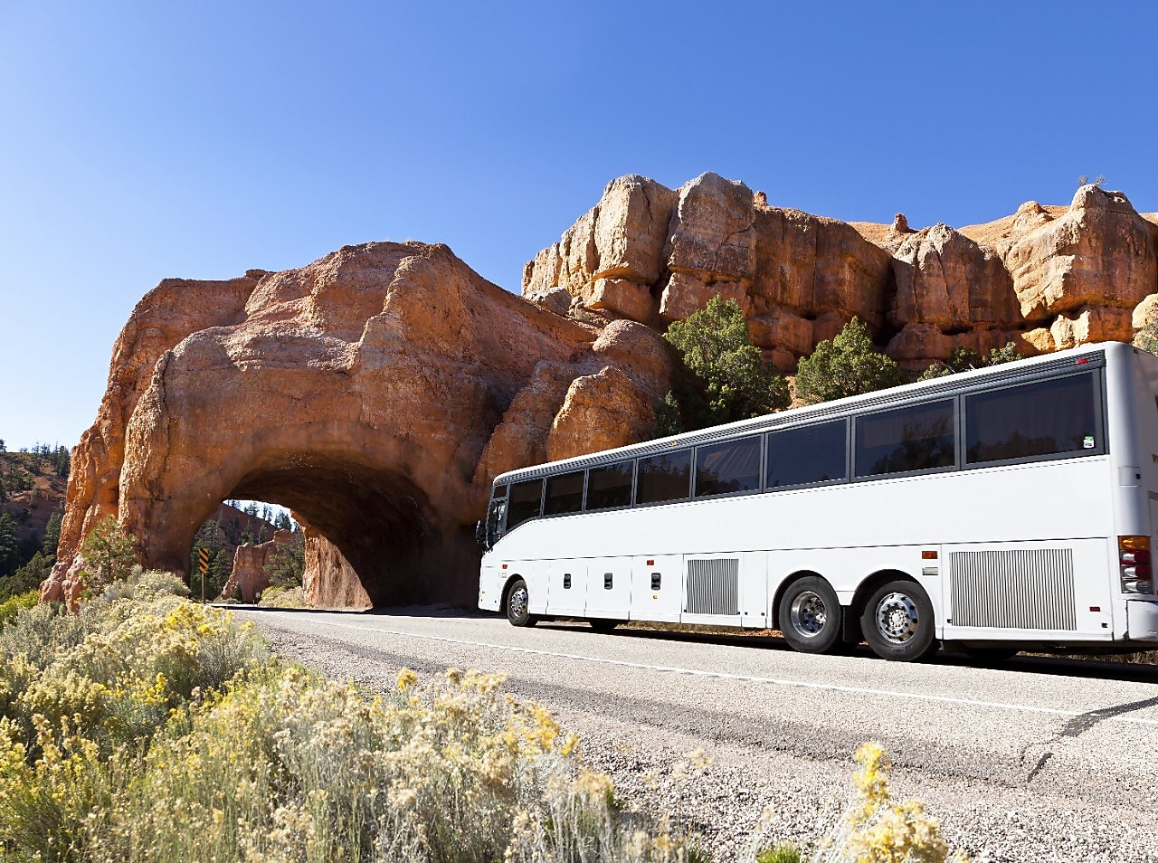 2 white trucks driving towards the camera