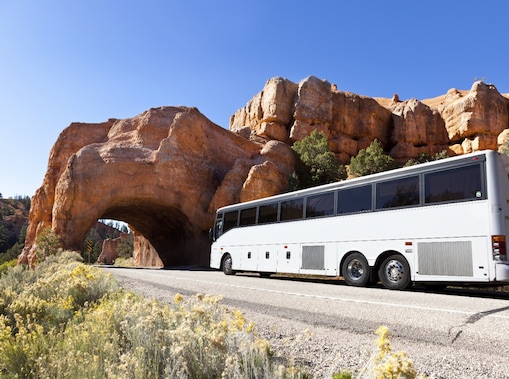 2 white trucks driving towards the camera